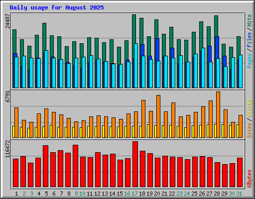 Daily usage for August 2025