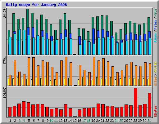 Daily usage for January 2026