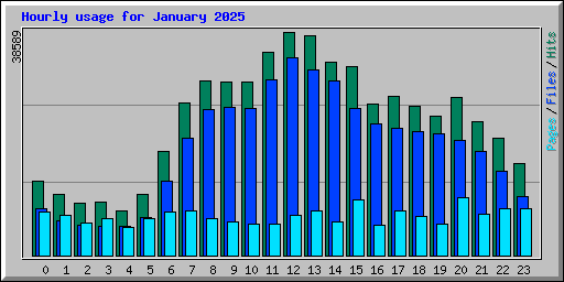 Hourly usage for January 2025