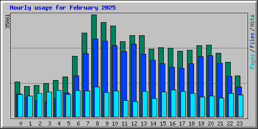 Hourly usage for February 2025