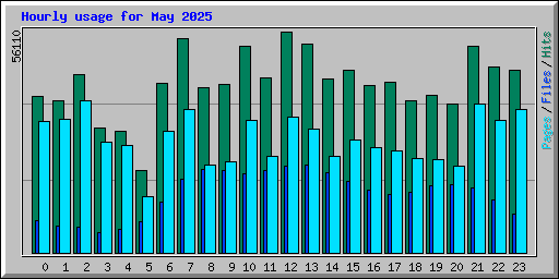 Hourly usage for May 2025