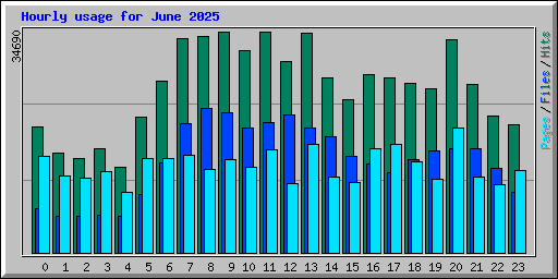 Hourly usage for June 2025
