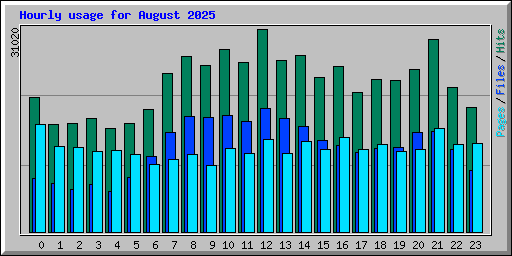 Hourly usage for August 2025