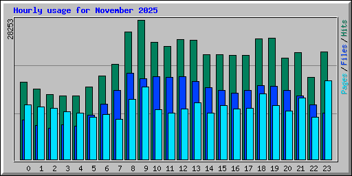 Hourly usage for November 2025