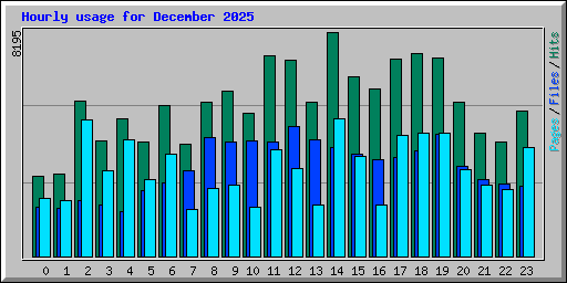 Hourly usage for December 2025