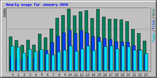 Hourly usage for January 2026