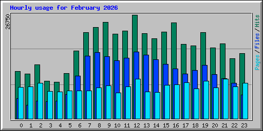 Hourly usage for February 2026