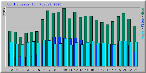 Hourly usage for August 2026